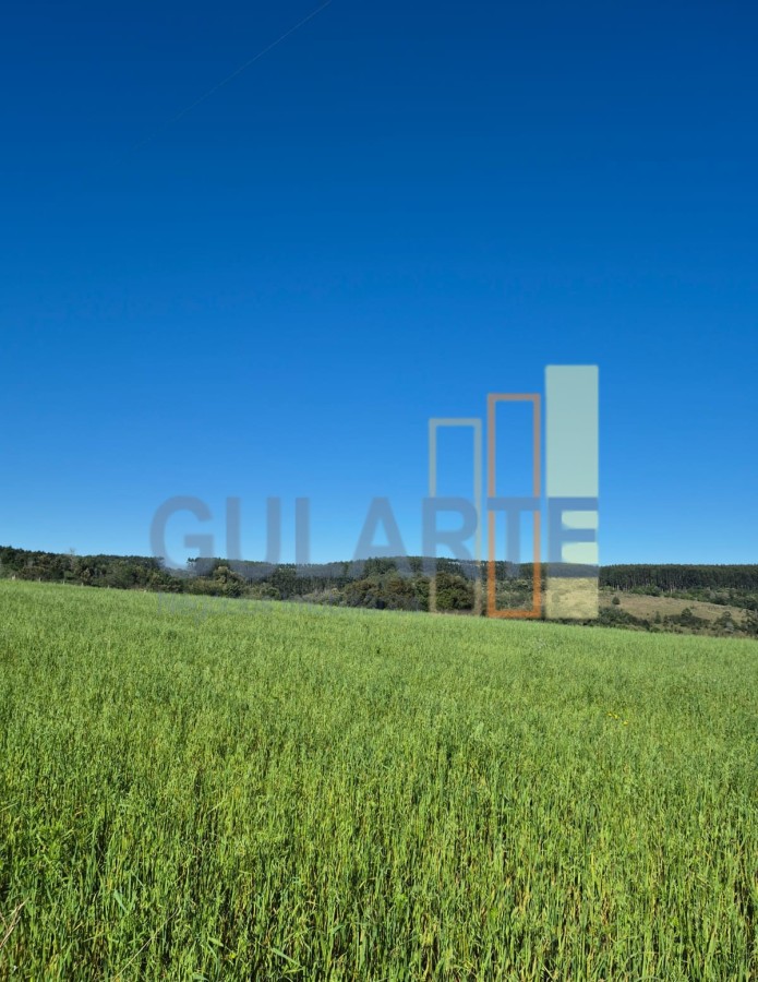 Fazenda, 63 hectares - Foto 19