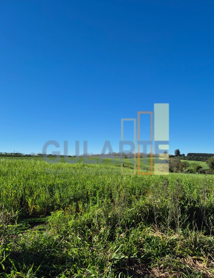 Fazenda, 63 hectares - Foto 18