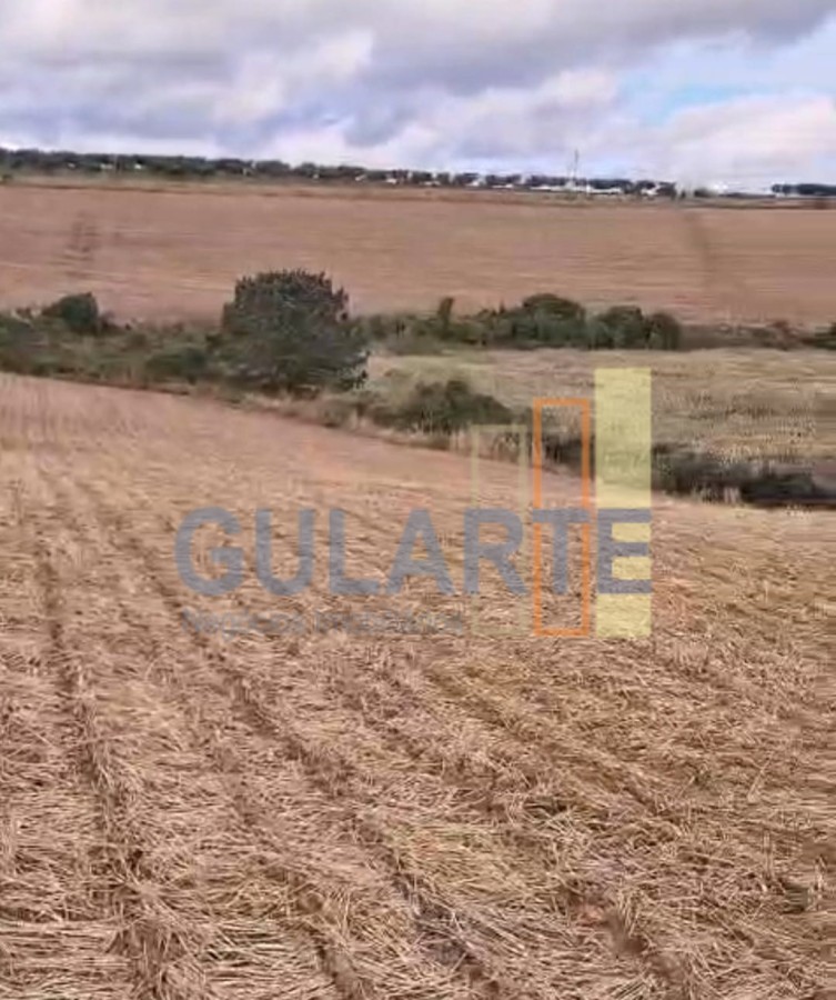Fazenda, 63 hectares - Foto 21