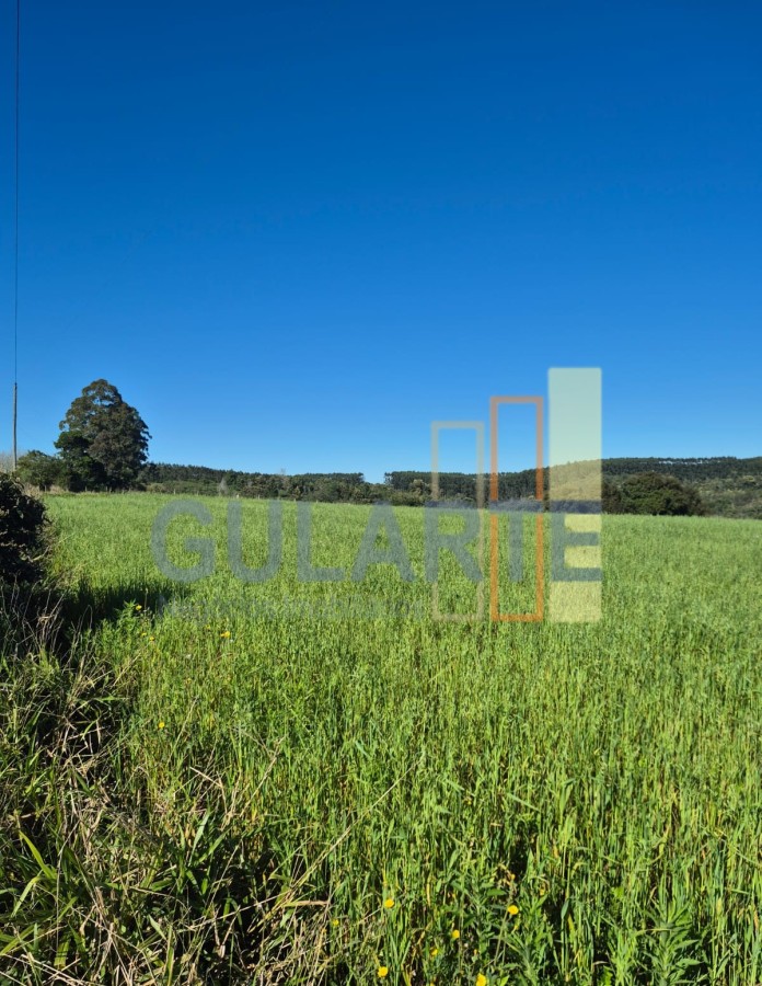 Fazenda, 63 hectares - Foto 20