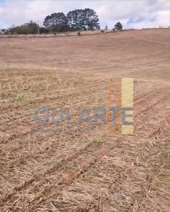 Fazenda, 63 hectares - Foto 22