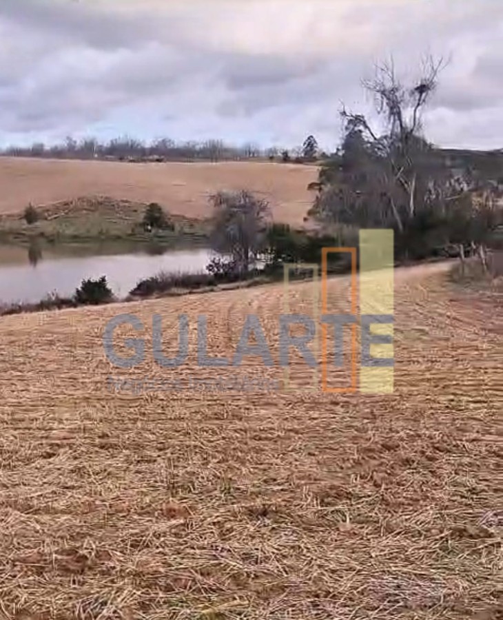 Fazenda, 63 hectares - Foto 23
