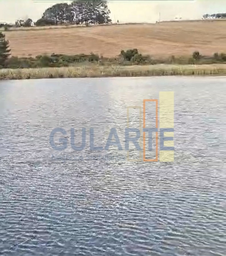 Fazenda, 63 hectares - Foto 24
