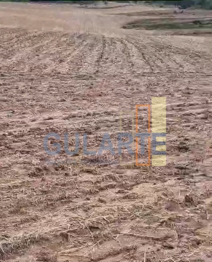 Fazenda, 63 hectares - Foto 25